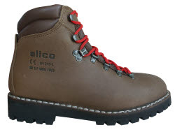 Sicherheitsschuh MONTANA 8850_g.jpg