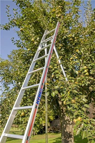 3049-Obstbaumleiter.jpg