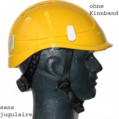 520050.jpg