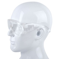 Schutzbrille