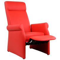 Ruhe- und Aufstehsessel Harmony, 2-motorig mit Akku-Pack, fahrbar, Fussstütze